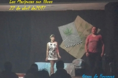 Las-mariposas-son-libres-22-de-abril-2