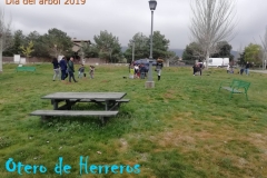 Dia-del-Arbol-2019-2
