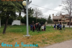Dia-del-Arbol-2019-4