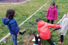 Dia-del-Arbol-2019-5