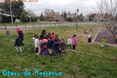 Dia-del-Arbol-2019-6