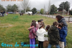Dia-del-Arbol-2019-7