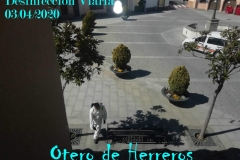 PHOTO-2020-04-03-12-44-47-copia