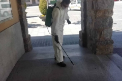 PHOTO-2020-04-03-12-44-48-copia