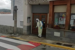 PHOTO-2020-04-17-13-56-34-copia-2