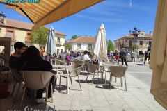 Feria-de-Abril-2023-6
