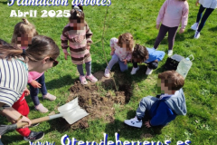 Plantacion-arboles-cole-pixelado2