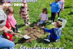 Plantacion-arboles-cole-pixelado3