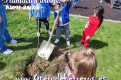 Plantacion-arboles-cole-pixelado4