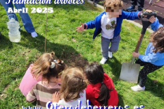 Plantacion-arboles-cole-pixelado5