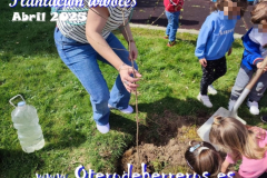 Plantacion-arboles-cole-pixelado6