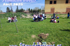 Plantacion-arboles-cole-pixelado7