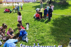 Plantacion-arboles-cole-pixelado8