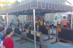 Exhibicion-de-cetreria-1