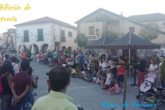 Exhibicion-de-cetreria-10