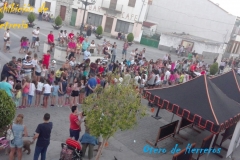 Exhibicion-de-cetreria-2