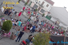 Exhibicion-de-cetreria-3