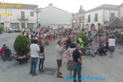 Exhibicion-de-cetreria-7