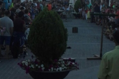 Exhibicion-de-cetreria-9