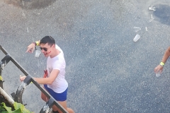 dig
