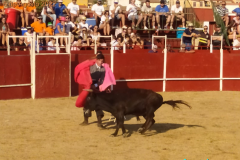Festival-taurino-1