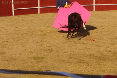 Festival-taurino-2