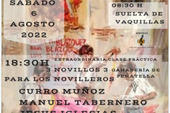 FestivalTaurinoFiestasAgosto