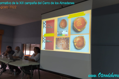 XIII-campana-del-Cerro-de-los-Almadenes-12