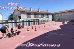IMG-20230911-WA0234