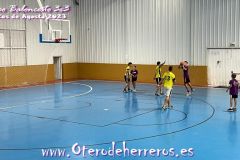 baloncesto-35