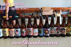 cata-de-cerveza-1