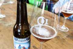 cata-de-cerveza-28