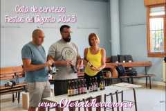 cata-de-cerveza-29