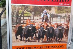 encierros-infantiles-2