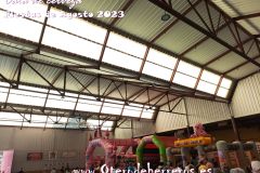 hinchables-16
