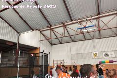 hinchables-6