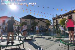 jumping-54