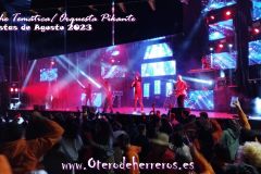 noche-tematica-31