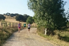 carrera-tramo-2-1