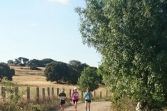 carrera-tramo-2-13