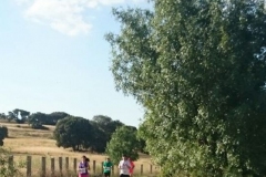 carrera-tramo-2-14