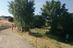 carrera-tramo-2-19