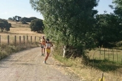 carrera-tramo-2-23