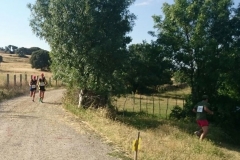 carrera-tramo-2-25