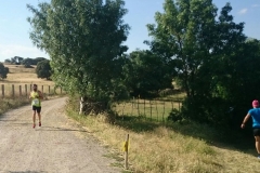carrera-tramo-2-29
