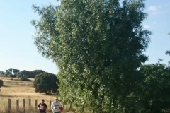 carrera-tramo-2-3