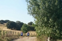 carrera-tramo-2-4