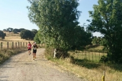 carrera-tramo-2-5