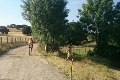 carrera-tramo-2-7