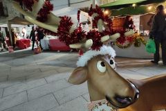 Mercado-Navidad-belen-viviente-78